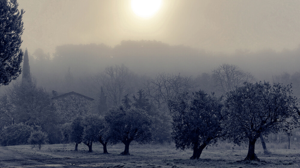 Laurent Gayte Manosque Photographie