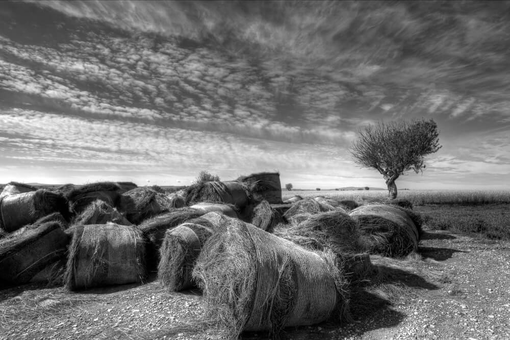 Laurent Gayte Valensole Photographie