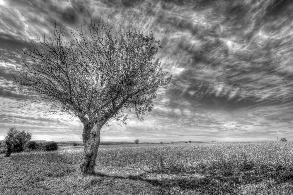 Laurent Gayte Valensole Photographie