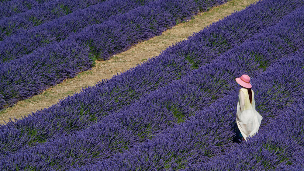 Laurent Gayte Valensole Photographie