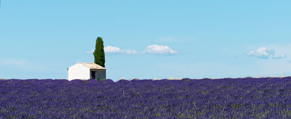 Laurent Gayte Valensole Photographie