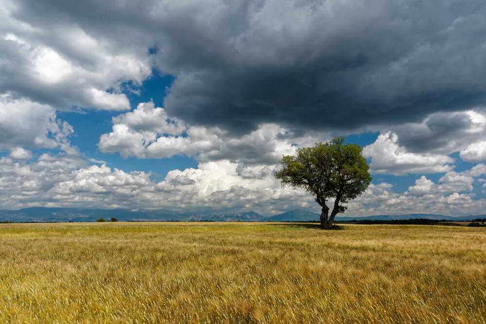 Laurent Gayte Valensole Photographie