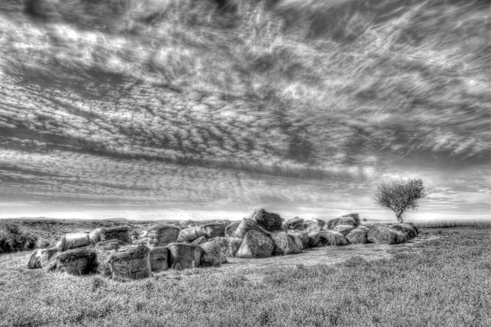 Laurent Gayte Valensole Photographie