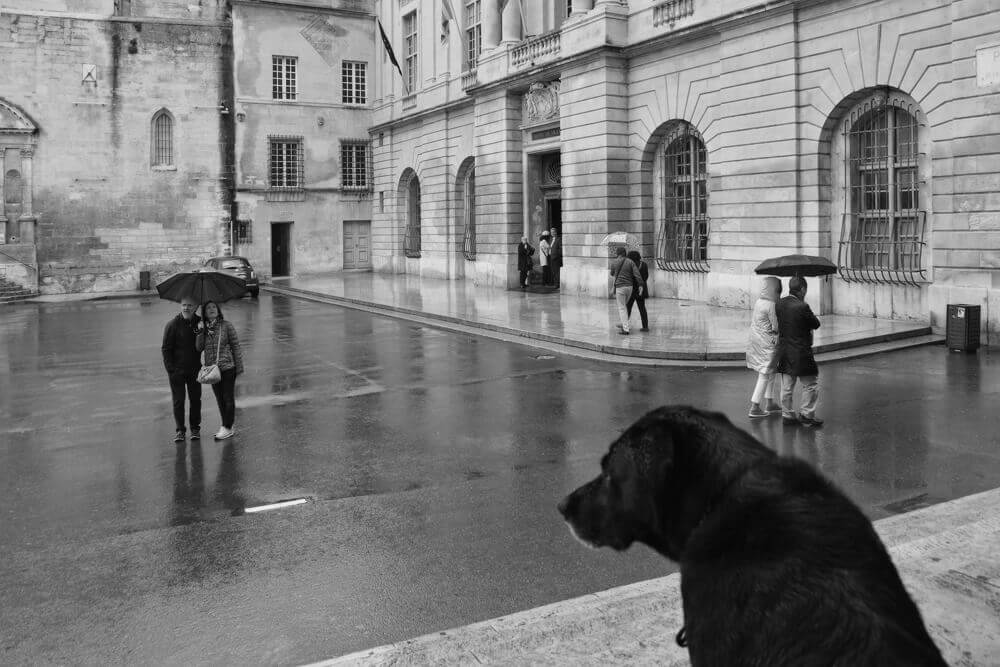 Robert Hale - Photographie d'art - Arles - Provence - Séries Limitées