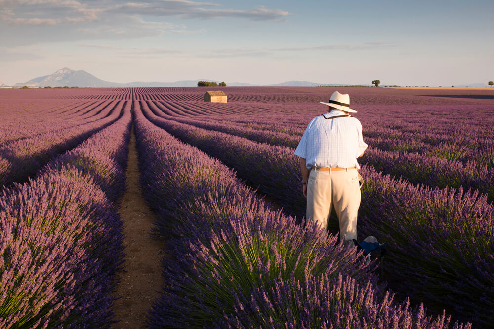 Marc Lelievre Valensole Photographie