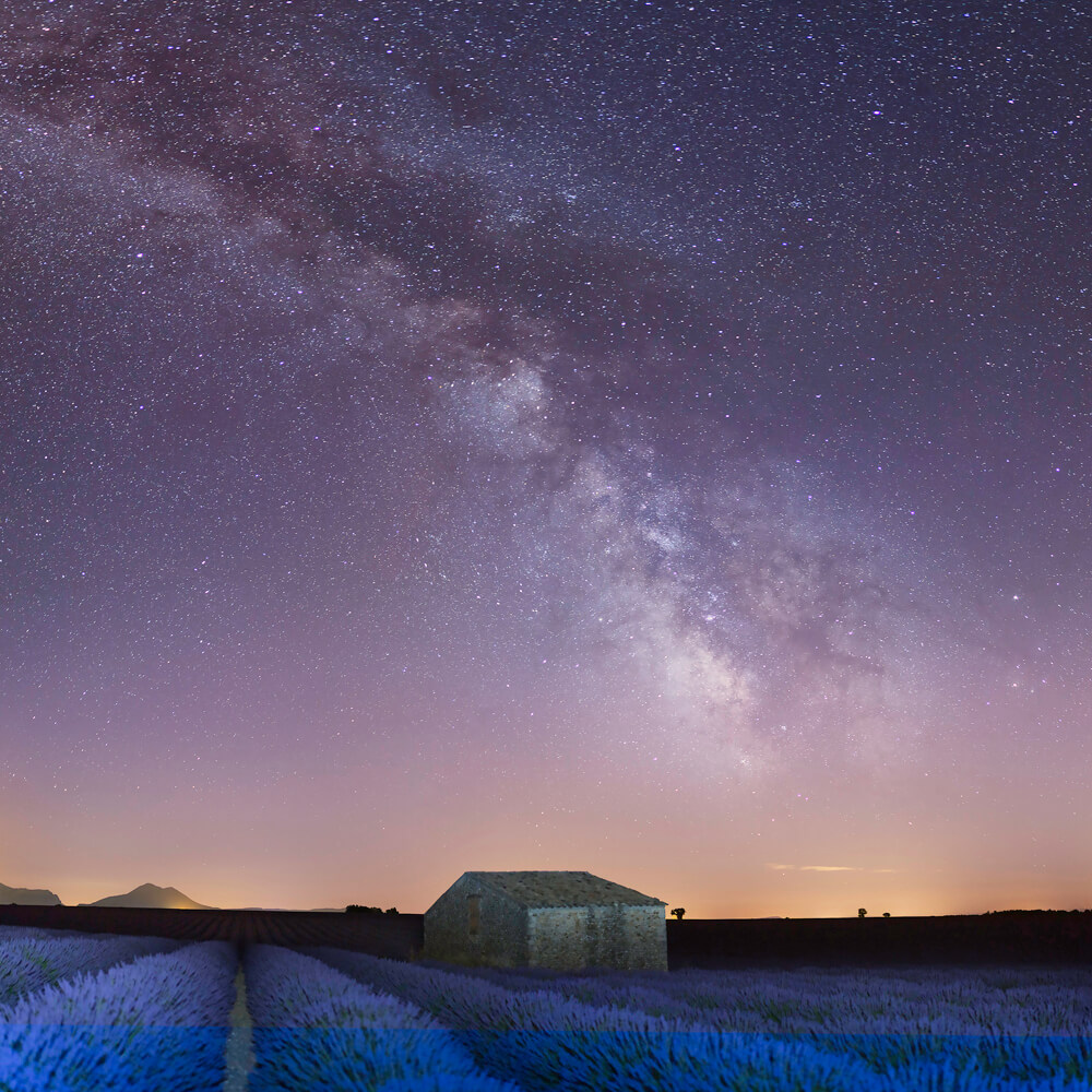 Marc Lelievre Valensole Photographie