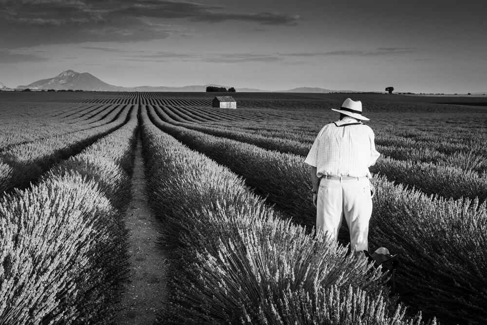 Marc Lelievre Valensole Photographie