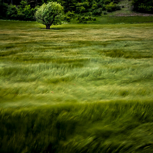 Photo Giono Provence