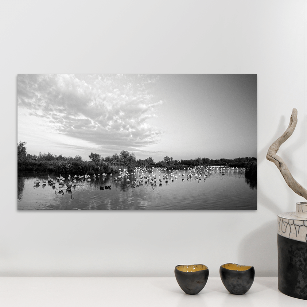 photographie camargue flamants fmedium