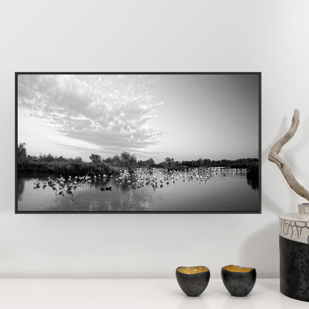 photographie camargue flamants fmedium