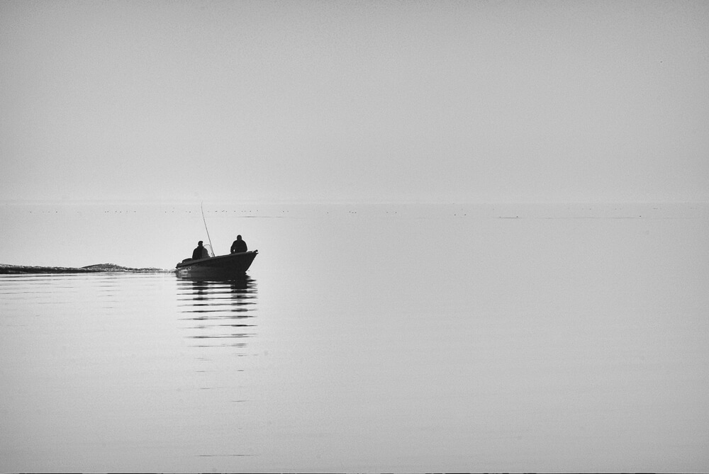 Sébastien Rollandin Camargue Photographie