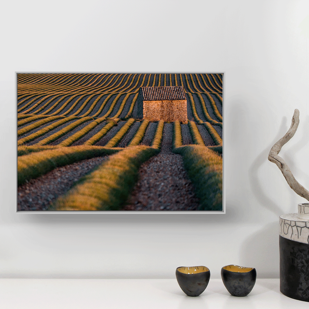 plateau valensole decoration murale