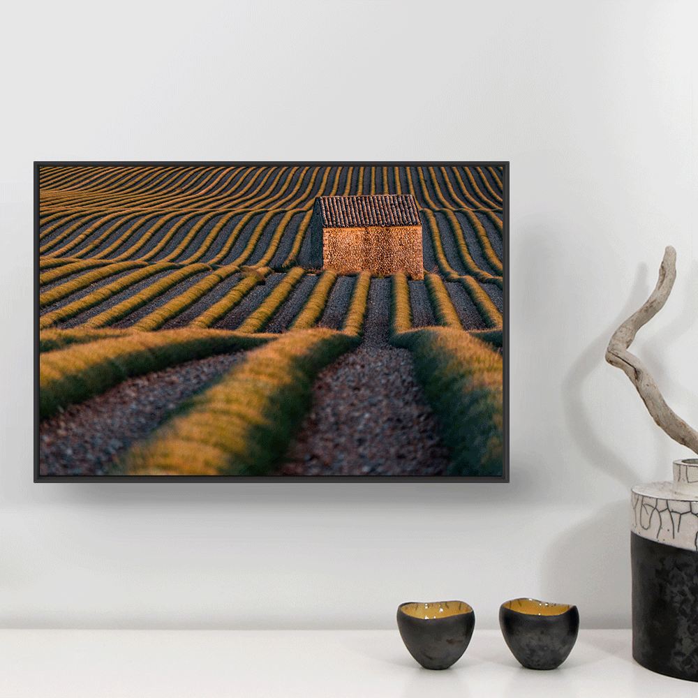 plateau valensole decoration murale