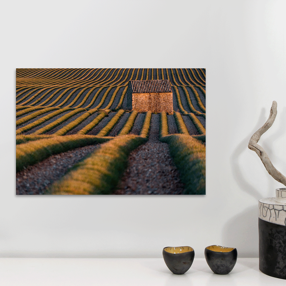 plateau valensole decoration murale