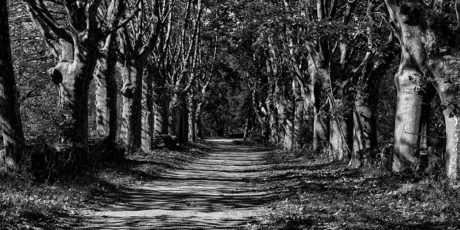 Isabelle De Rouville Contadour photo