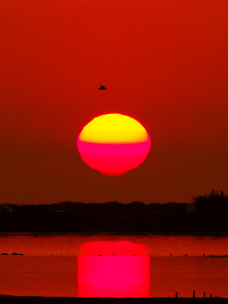 Laurent Gayte Hyeres photographie