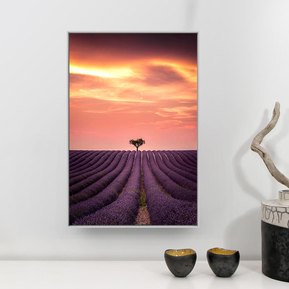 Valensole Photographie Vianney Rudent