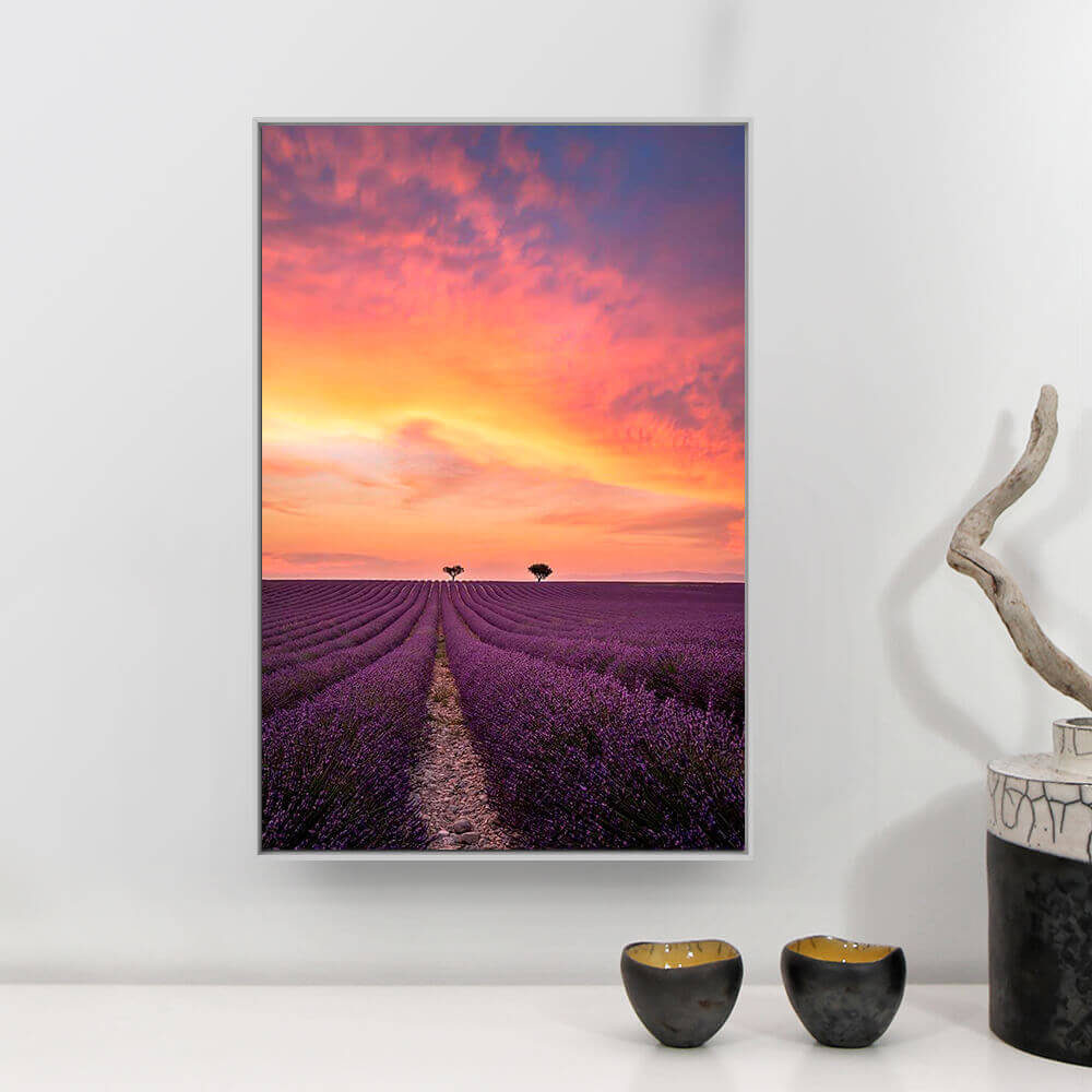 Valensole Photographie Vianney Rudent