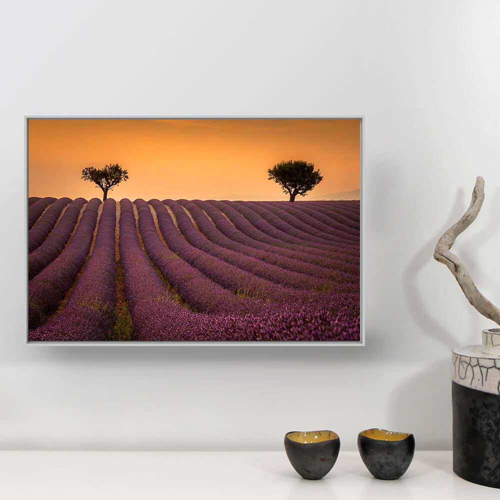 Valensole Photographie Vianney Rudent