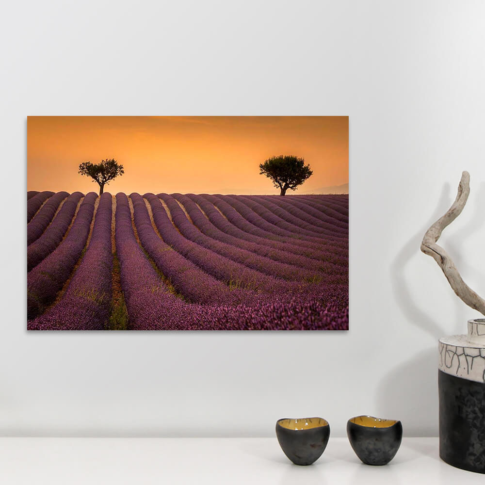 Valensole Photographie Vianney Rudent