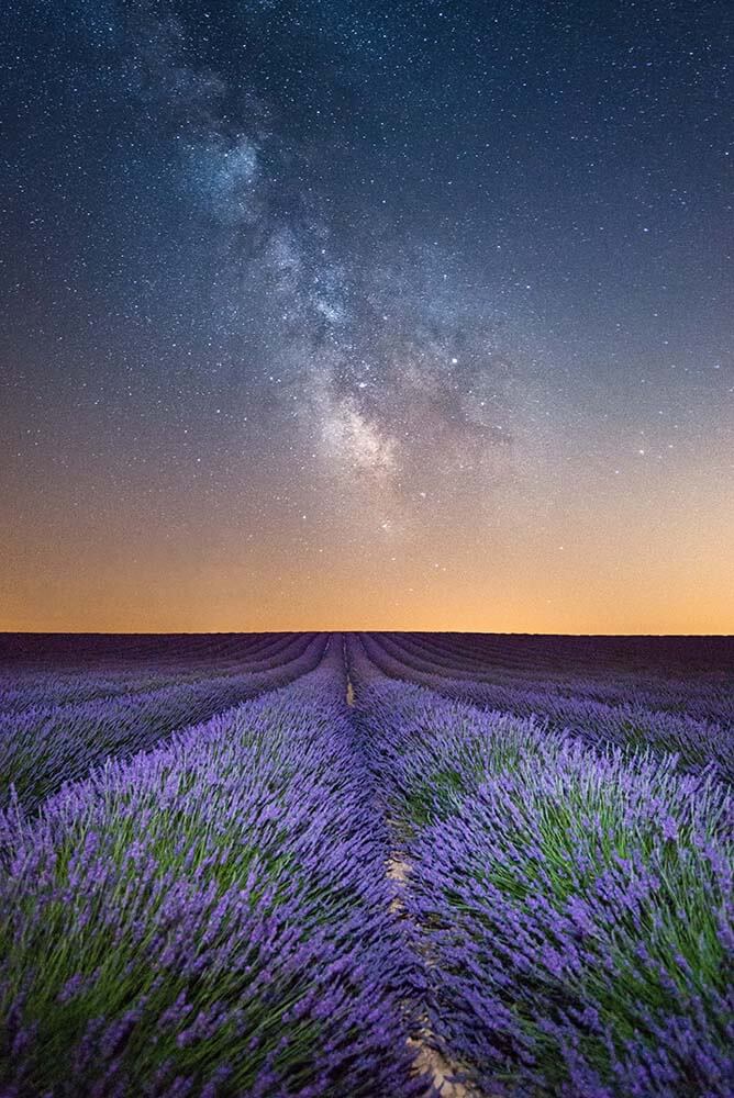 Valensole Photographie Vianney Rudent