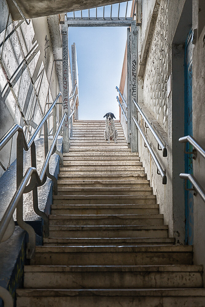 Jean-Paul Cotte Photographie d'art Marseille