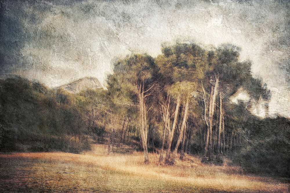 Karine Chavas Sainte-Victoire Photographie