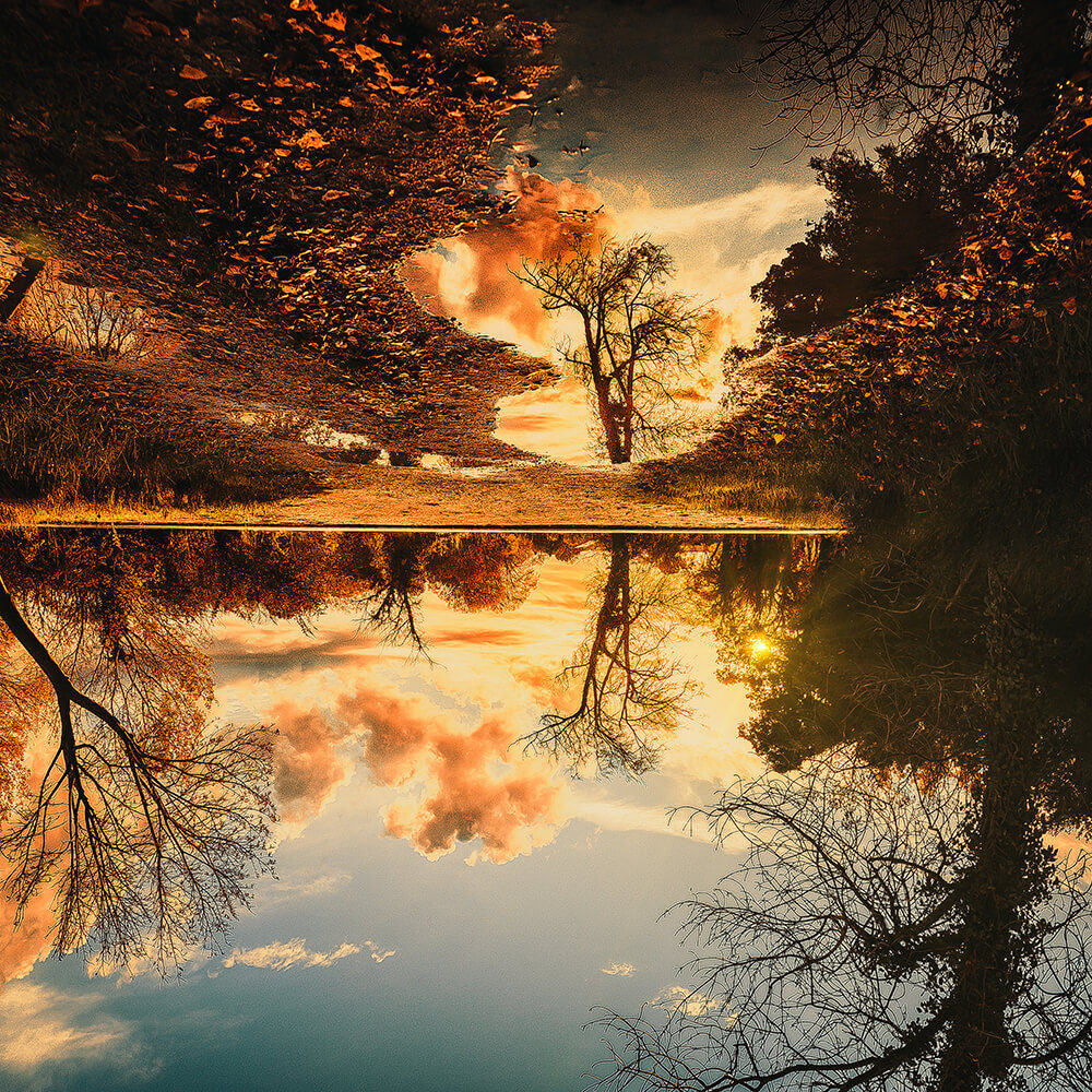 Michel Planque Photographie Eyguières en Provence