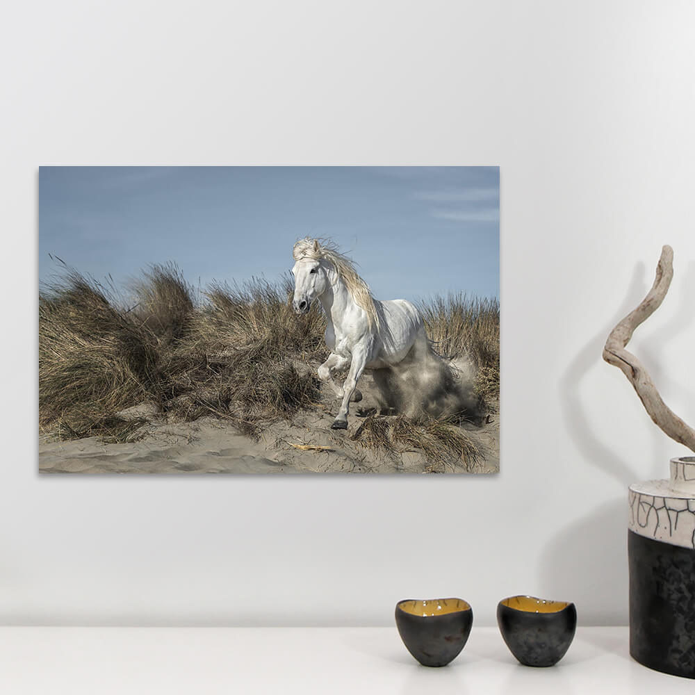 Lucie Bressy Photo d'art Camargue