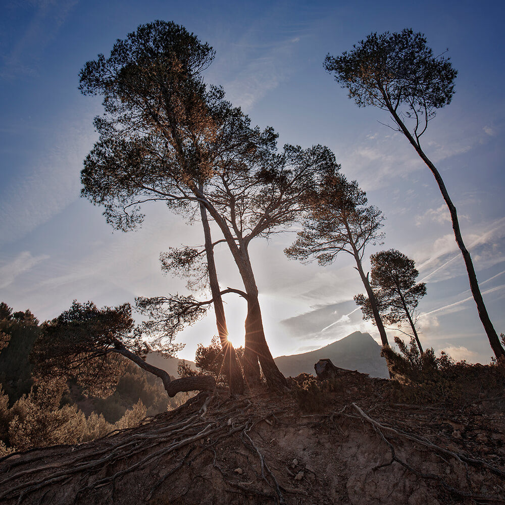 Photographie Marc Lelièvre Sainte-Victoire