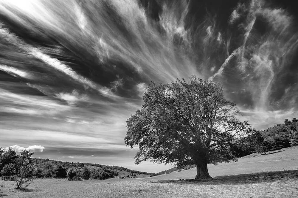 Photographie d'art Contadour François Jx