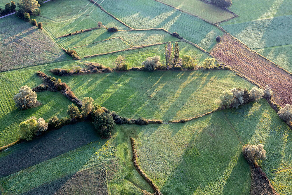 Francois Jx Serre-Poncon Photographie