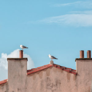 Photographie Jean-Paul Cotte - marseille - article blog