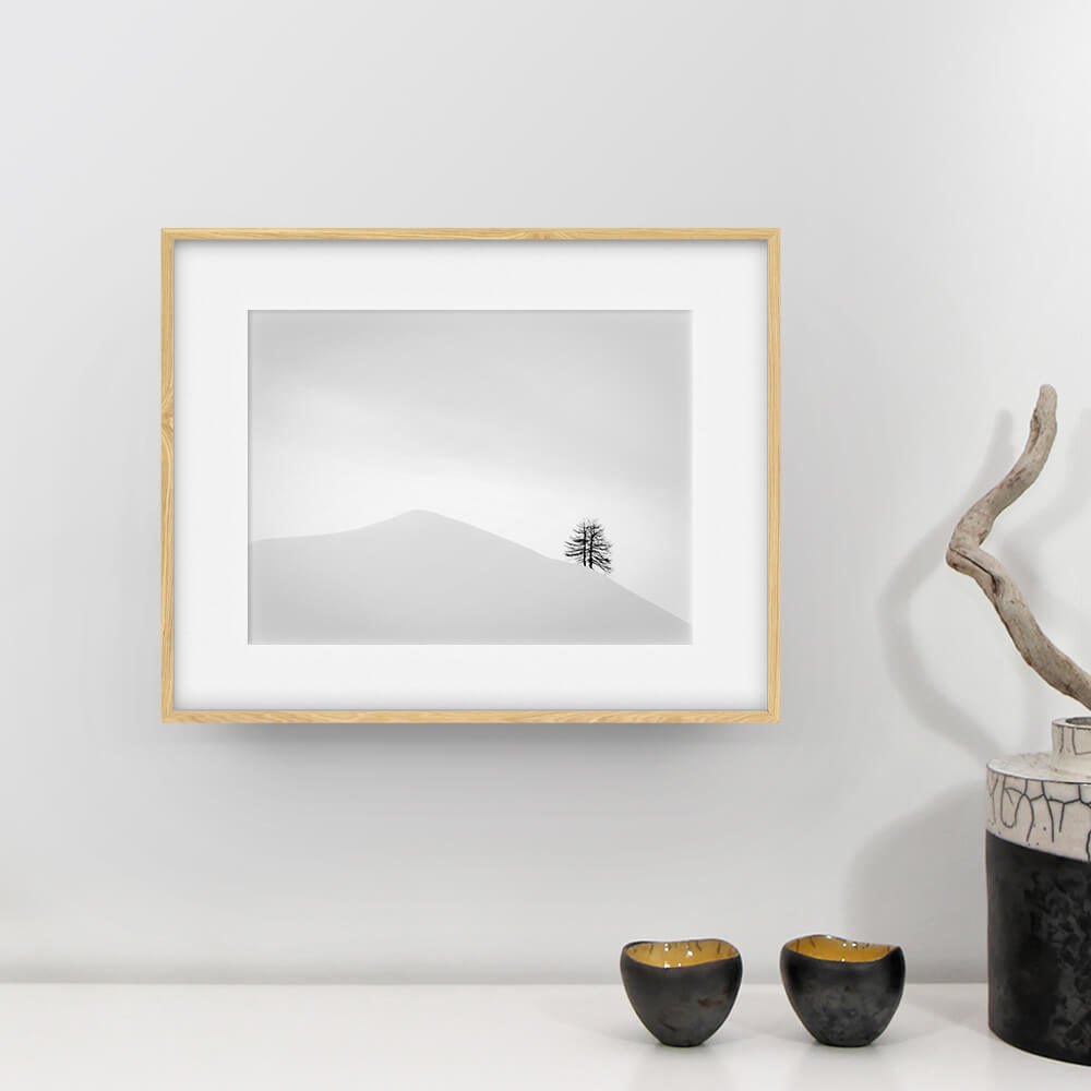 Photographie Laurent Gayte - Col de Larche