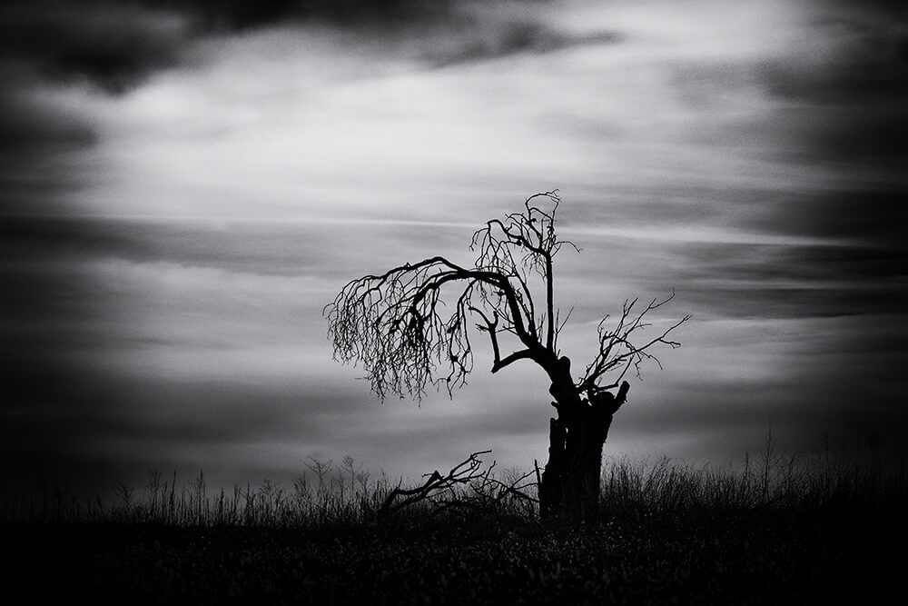 Photographie Laurent Gayte - Valensole