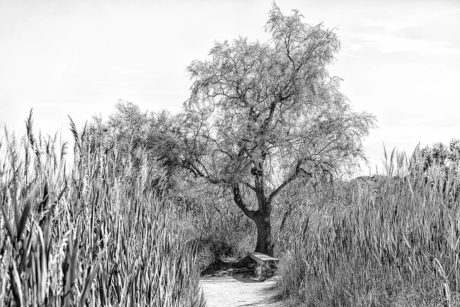 Photographie Jean-Paul Cotte Marseille