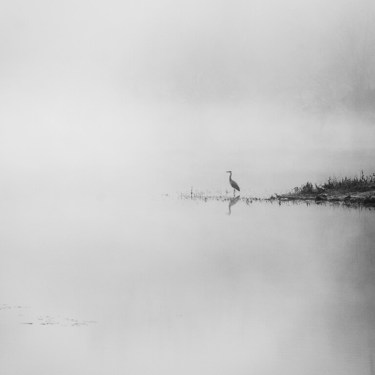 Photographie d'art Indigo Carcès Héron